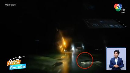 ชาวบ้านผวา ! เจอจระเข้นอนขวางถนน