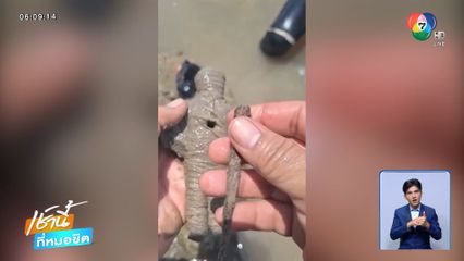 หนุ่มดำน้ำเจอไหโบราณ ใส่ตุ๊กตามีตะปูปักอก