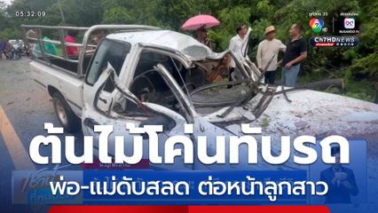 ต้นไม้ล้มทับรถกระบะ สามี-ภรรยาเสียชีวิต
