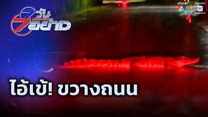 7 วัน 7 อย่าง : ไอ้เข้! ขวางถนน