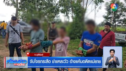 จับโจรกระสือ ชำแหละวัว อ้างแค้นอดีตแม่ยาย