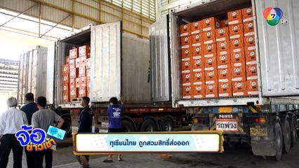 ทุเรียนไทย ถูกสวมสิทธิ์ส่งออก