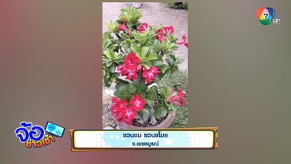 ชวนชม ชวนขโมย จ.เพชรบูรณ์