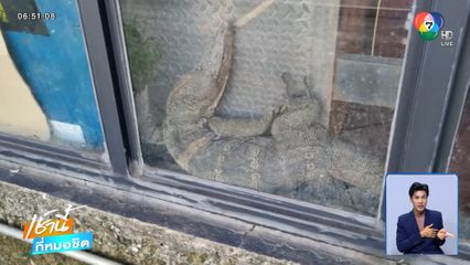 นึกว่าจระเข้ ! ที่แท้ ตัวเงินตัวทอง จ.อุดรธานี