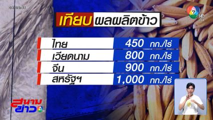 ราคาข้าวร่วงทั้งวงจร