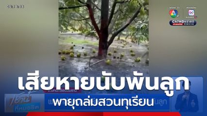พายุถล่มสวนทุเรียน หล่นเสียหายนับพันลูก