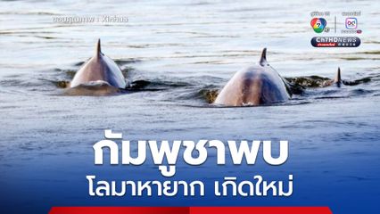 กัมพูชาพบลูกโลมาอิรวดี เกิดใหม่ตัวที่ 7 ของปี 2025 เพิ่มประชากรโลมารวมอยู่ที่ 111 ตัว