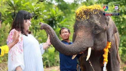 จัดพิธีรับขวัญ พลายแสนตัน ช้างตระกูลเเสน เชือกที่ 22 ณ บ้านช้างตระกูลแสน