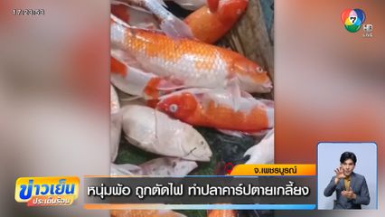 หนุ่มพ้อ ถูกตัดไฟ ทำปลาคาร์ปตายเกลี้ยง