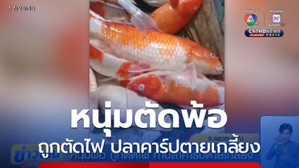 หนุ่มพ้อ ถูกตัดไฟ ทำปลาคาร์ปตายเกลี้ยง