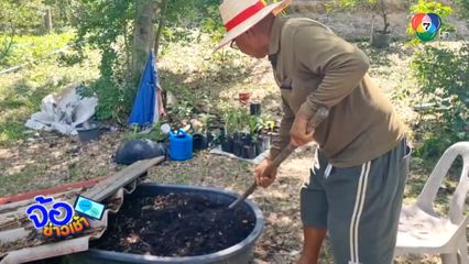 ไร่นาสวนผสม สร้างรายได้ที่มั่นคง