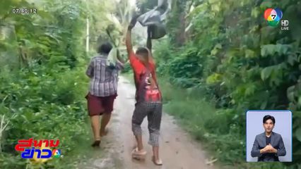 วิ่งหนีป่าราบ ผึ้งหลวงเจ้าถิ่นรุม