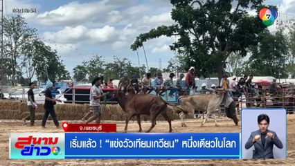 เริ่มแล้ว ! แข่งวัวเทียมเกวียน หนึ่งเดียวในโลก