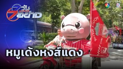 7 วัน 7 อย่าง : หมูเด้งหงส์แดง