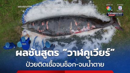 ผลการชันสูตร “ซากวาฬคูเวียร์” เกยตื้น คาดป่วยร่างกายอักเสบ ช็อกจากการติดเชื้อ-จมน้ำตาย