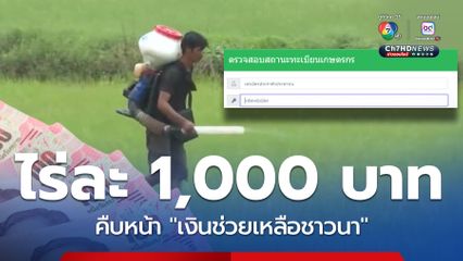 คืบหน้า! เงินช่วยเหลือชาวนา ไร่ละ 1,000 จ่ายสูงสุด 10,000