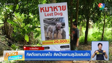 คิดถึงแทบขาดใจ ติดป้ายตามสุนัขแสนรัก