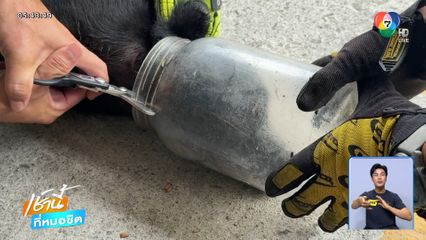 ช่วยวุ่น ! หมาหัวติดโหลพลาสติกเป็นอาทิตย์