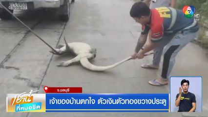เจ้าของบ้านตกใจ ตัวเงินตัวทองขวางประตู