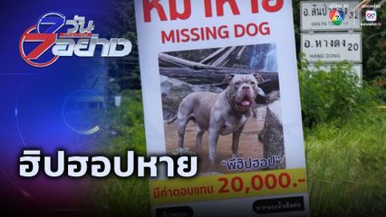 7 วัน 7 อย่าง : ฮิปฮอปหาย