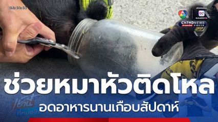ช่วยวุ่น ! หมาหัวติดโหลพลาสติกเป็นอาทิตย์