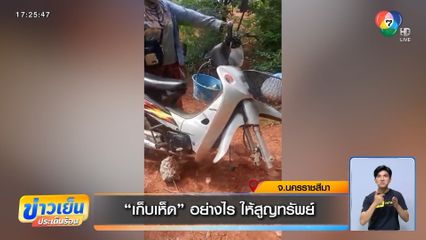 เก็บเห็ด อย่างไร ให้สูญทรัพย์ จ.นครราชสีมา