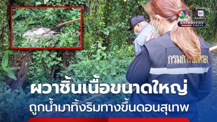 ชาวบ้านผวา พบชิ้นเนื้อขนาดใหญ่ถูกนำมาทิ้งส่งกลิ่นเหม็น ริมทางขึ้นดอยสุเทพ