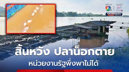 ผู้เลี้ยงปลาสิ้นหวัง น้ำสูงเชี่ยวขุ่นแดง ทำปลาตายวันละ 40-50 กิโล โอด หน่วยงานรัฐพึ่งพาไม่ได้