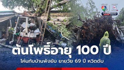 ต้นโพธิ์อายุ 100 ปี โค่นทับบ้านพังยับ ยายวัย 69 ปี หวิดดับ