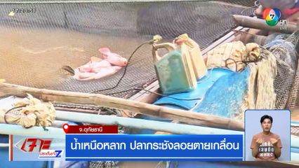 น้ำเหนือหลาก ปลากระชังลอยตายเกลื่อน