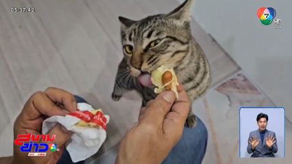 จิ๊กโก๋ แมวแปลก ชอบกินทุเรียน