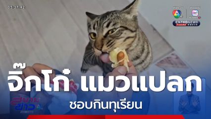 จิ๊กโก๋ แมวแปลก ชอบกินทุเรียน
