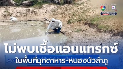 ปศุสัตว์ยืนยันไม่พบเชื้อแอนแทรกซ์ มุกดาหาร-หนองบัวลำภู