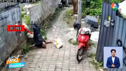 ตาแบกสัมภาระ หงายหลังตกบันได