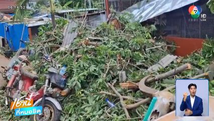 ต้นนุ่นอายุเกือบ 100 ปี ล้มทับบ้านเสียหาย 3 หลัง