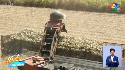 จี้รัฐบาล เคาะจ่ายเงินชดเชยการตัดอ้อยสด