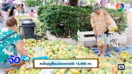คนใจบุญซื้อมะม่วงถวายวัด 15,000 กก.