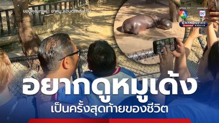 น้องออโต้ เด็กคนหนึ่งที่อยากดูหมูเด้งเป็นครั้งสุดท้ายของชีวิต