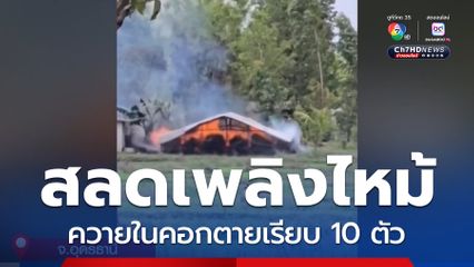 เพลิงไหม้คอกควายตายหมู่ 10 ตัว