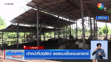 เจ้าหน้าที่ปศุสัตว์ ลงสอบเชื้อแอนแทรกซ์ จ.สระแก้ว