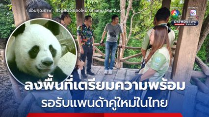 สวนสัตว์เชียงใหม่เตรียมพื้นที่ รองรับหมีแพนด้าคู่ใหม่ในไทย