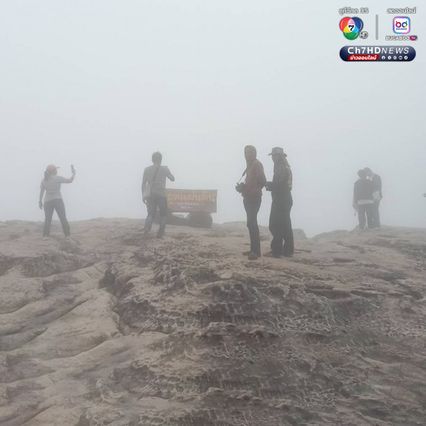 สัมผัสหมอก ชมดอกกระเจียว