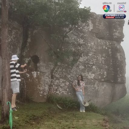 สัมผัสหมอก ชมดอกกระเจียว