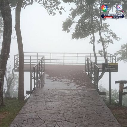 สัมผัสหมอก ชมดอกกระเจียว