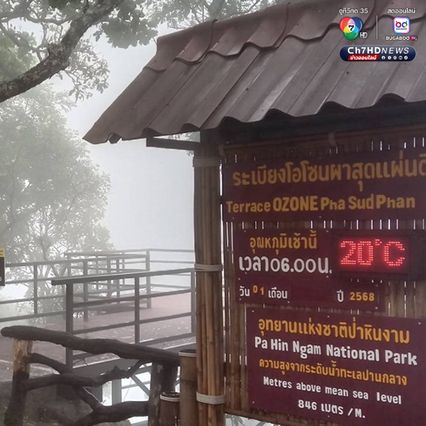 สัมผัสหมอก ชมดอกกระเจียว