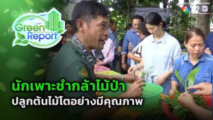 Green Report : นักเพาะชำกล้าไม้ป่ามืออาชีพ