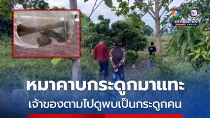 ผงะ ! หมาที่เลี้ยงไว้คาบกระดูกออกมาจากสวนลำไย เดินตามไปดูพบกองกระดูกคน