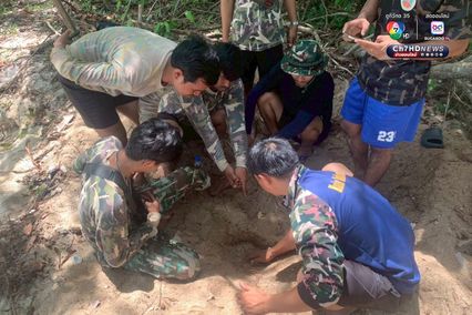 แม่เต่ากระขึ้นวางไข่ 158 ฟอง เป็นรังที่ 5 ของปี 2568