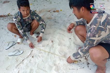 แม่เต่ากระขึ้นวางไข่ 158 ฟอง เป็นรังที่ 5 ของปี 2568