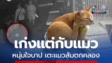 เก่งแต่กับแมว สาวโพสต์คลิปประจาน สองหนุ่มใจบาป เตะแมวส้มตกคลองแม่ข่า